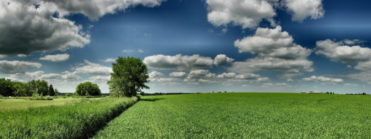 446715 (a): :3200x1200